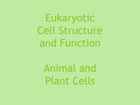 Eukaryotic Cell Structure and Function Animal and Plant Cells