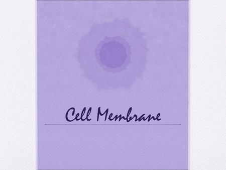 Cell Membrane.