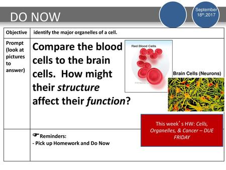 This week’s HW: Cells, Organelles, & Cancer – DUE FRIDAY