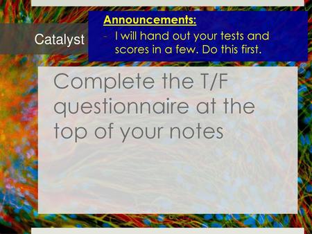 Complete the T/F questionnaire at the top of your notes