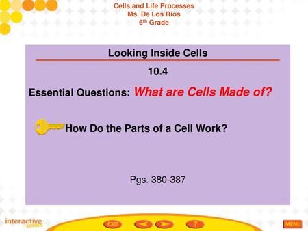 Cells and Life Processes