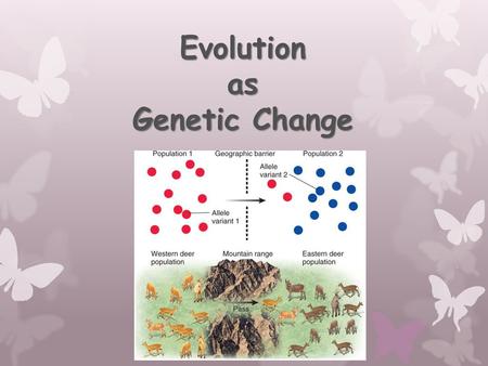 Evolution as Genetic Change