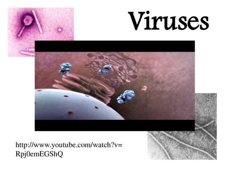 Viruses http://www.youtube.com/watch?v=Rpj0emEGShQ.