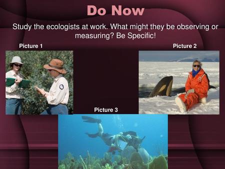 Do Now Study the ecologists at work. What might they be observing or measuring? Be Specific! Picture 1 Picture 2 Picture 3.