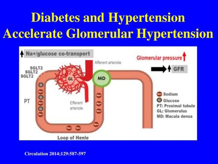 Diabetes and Hypertension Accelerate Glomerular Hypertension