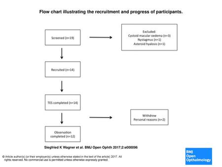 Flow chart illustrating the recruitment and progress of participants.