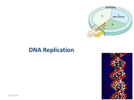 DNA Replication 2007-2008.