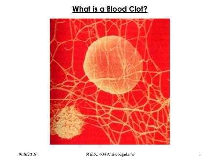 What is a Blood Clot? 9/18/2018 MEDC 604 Anti-coagulants.