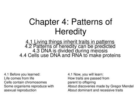 Chapter 4: Patterns of Heredity