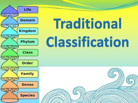 Traditional Classification