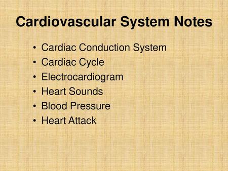 Cardiovascular System Notes