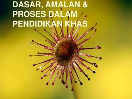 DASAR, AMALAN & PROSES DALAM PENDIDIKAN KHAS