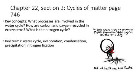 Chapter 22, section 2: Cycles of matter page 746