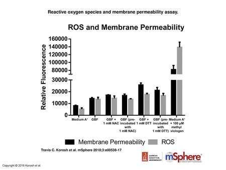 Reactive oxygen species and membrane permeability assay.