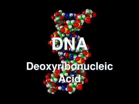 Deoxyribonucleic Acid