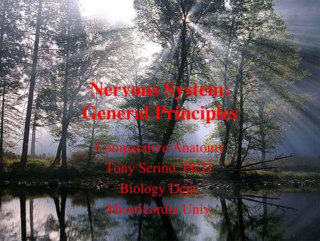 Nervous System: General Principles