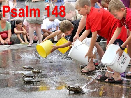 Psalm 148 Ander tekste 1 Samuel 2:18-20 Hanna se ander kinders