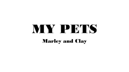 MY PETS Marley and Clay.