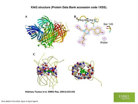 KikG structure (Protein Data Bank accession code 1XSS).