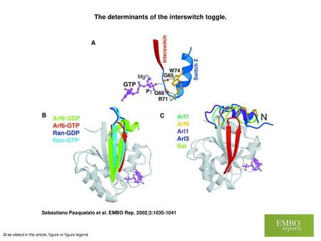 The determinants of the interswitch toggle.