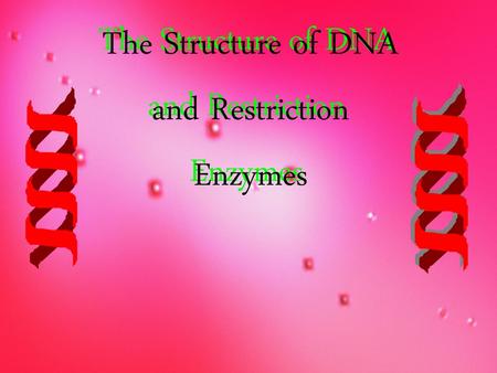 The Structure of DNA and Restriction Enzymes