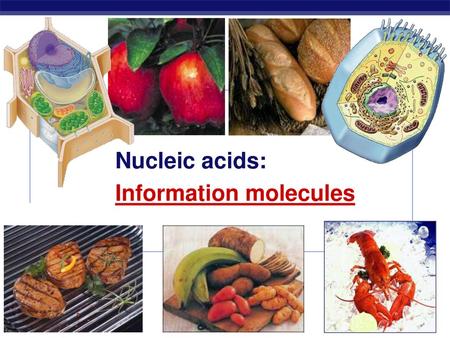 Information molecules