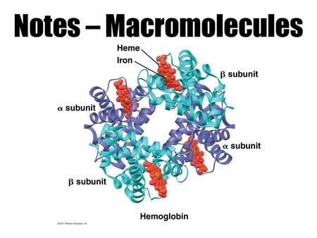 Notes – Macromolecules