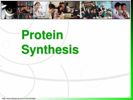 Protein Synthesis.