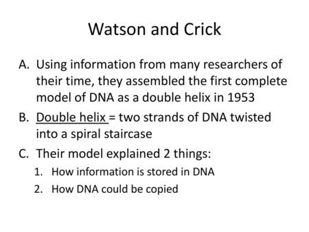 Watson and Crick Using information from many researchers of their time, they assembled the first complete model of DNA as a double helix in 1953 Double.