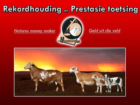 Rekordhouding en Prestasie Toetsing