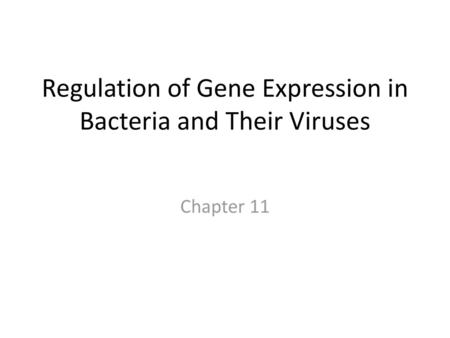 Regulation of Gene Expression in Bacteria and Their Viruses