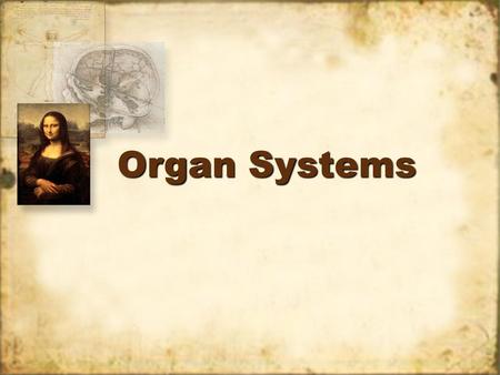 Organ Systems.