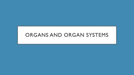 Organs and organ systems