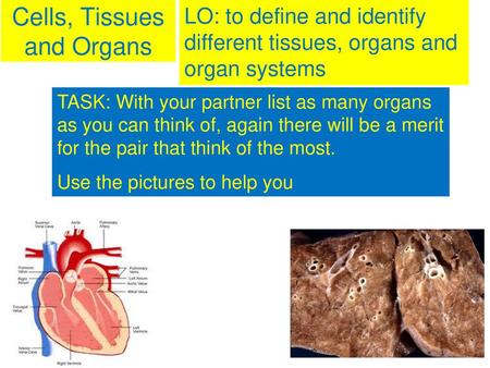 Cells, Tissues and Organs