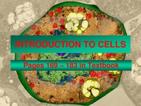 INTRODUCTION TO CELLS Pages 169 – 183 in Textbook.