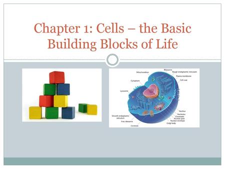 Chapter 1: Cells – the Basic Building Blocks of Life