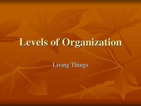 Levels of Organization