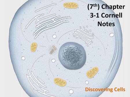 (7th) Chapter 3-1 Cornell Notes