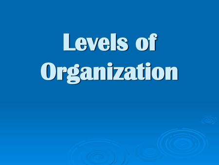 Levels of Organization