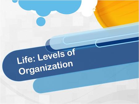 Life: Levels of Organization