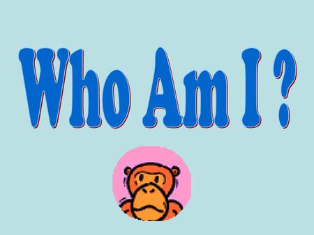 Who Am I ?.