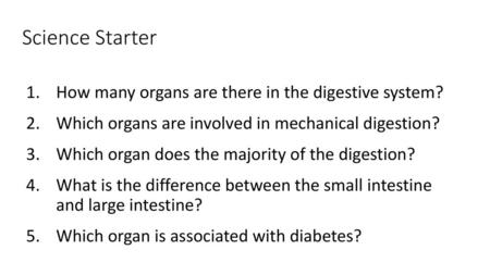 Science Starter How many organs are there in the digestive system?