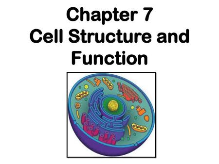 Chapter 7 Cell Structure and Function