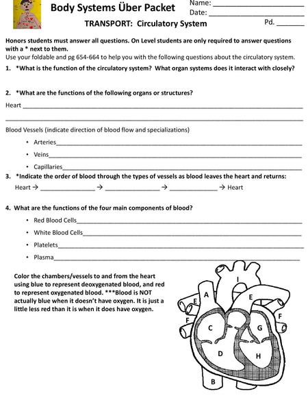 Body Systems Über Packet TRANSPORT: Circulatory System