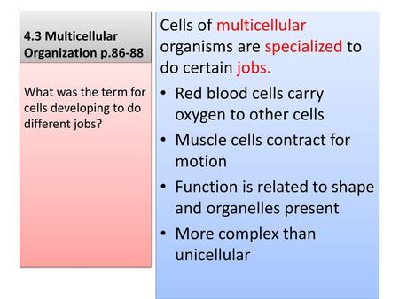 4.3 Multicellular Organization p.86-88