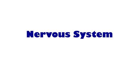 Nervous System.