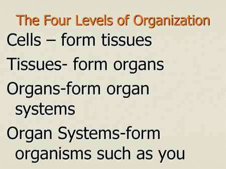 The Four Levels of Organization