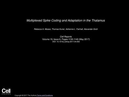 Multiplexed Spike Coding and Adaptation in the Thalamus