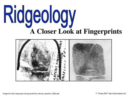 A Closer Look at Fingerprints