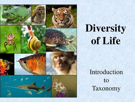 Introduction to Taxonomy